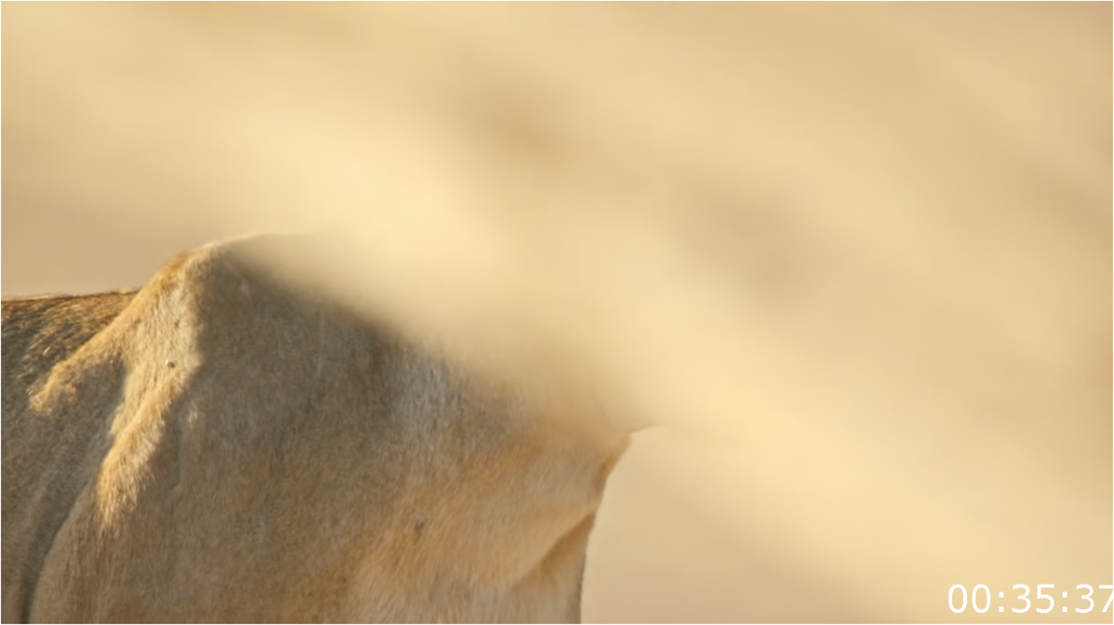 [Image: 156ctnpcq8hf.png]