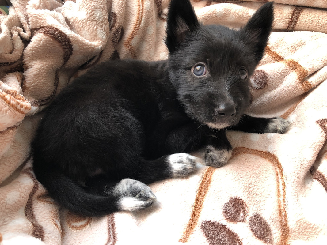 E3306CBA-90C1-4949-B836-6AD69BCF908C