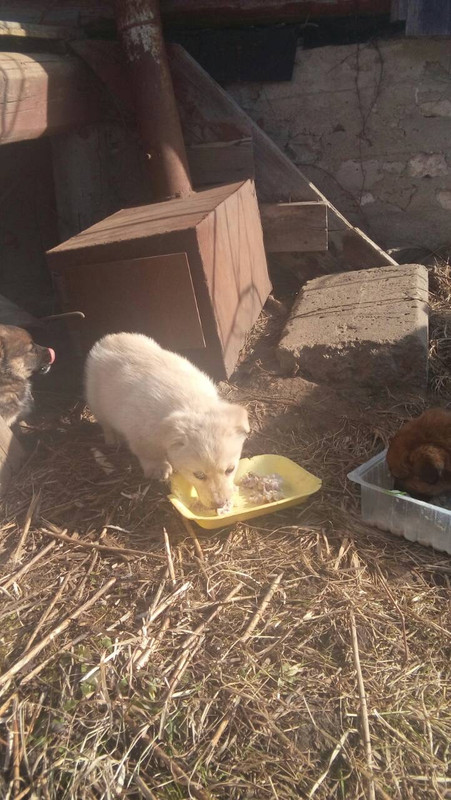 16F31B8D-7931-402C-BB65-A1226348B9AA