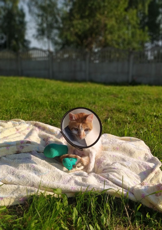 75F2B00B-0576-476E-A38F-C36137317BC7