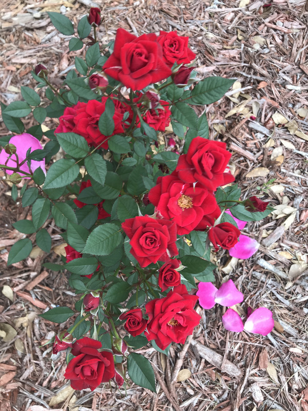 AC95A412-A22A-41BE-BB76-F0DA5882FABF