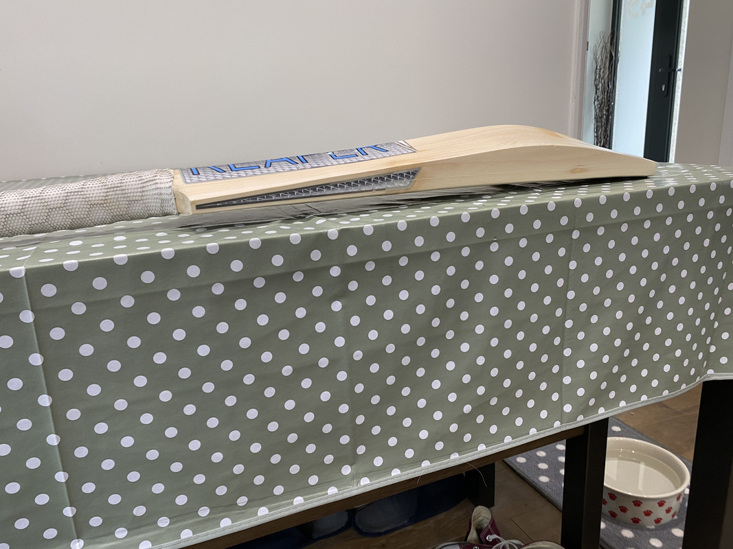 E3004298-B20F-4B4E-8ED3-5AA675403978