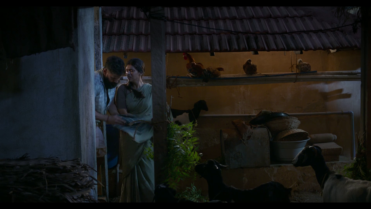 vlcsnap-2025-04-24-21h06m31s177