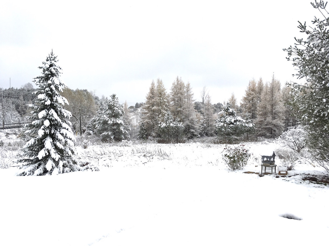 E526BA8D-FE23-4622-8AF3-1A04BEBC815E