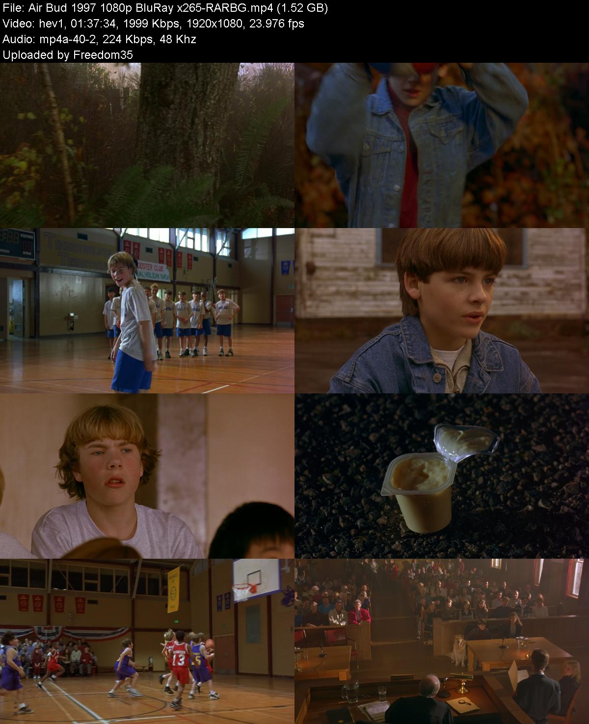 Air-Bud-1997-1080p-Blu-Ray-x265-RARBG.jp