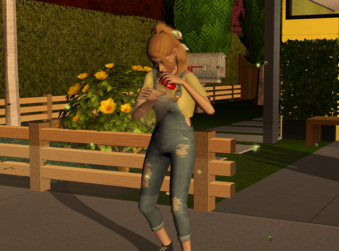 Sims2-EP9-RPC-2024-09-28-17-17-31-04