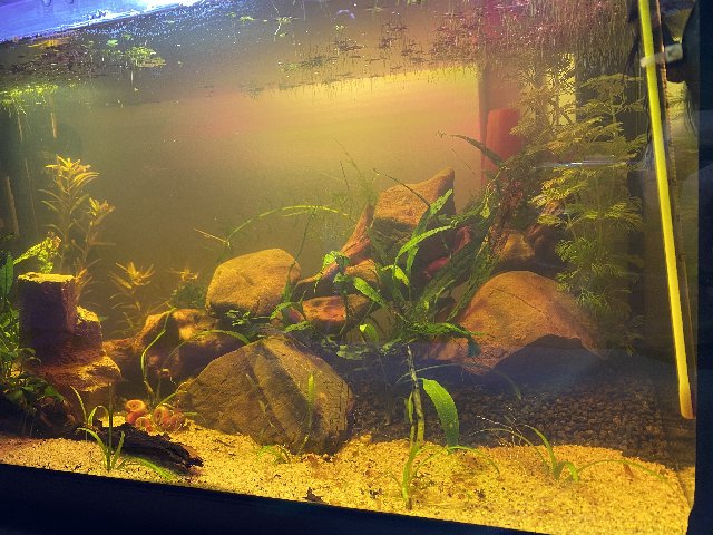 C18BA8EC-A760-4767-B1E7-D293E013CA34