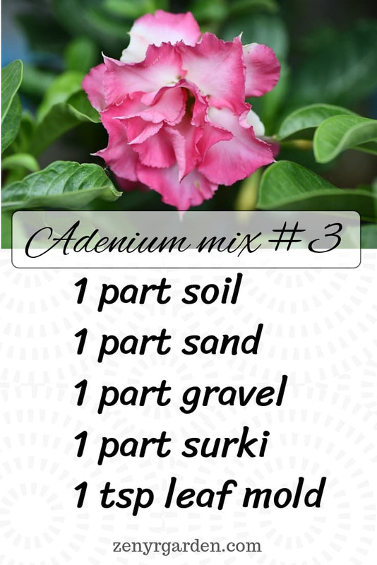 adenium-soil-mix-recipe-three.jpg