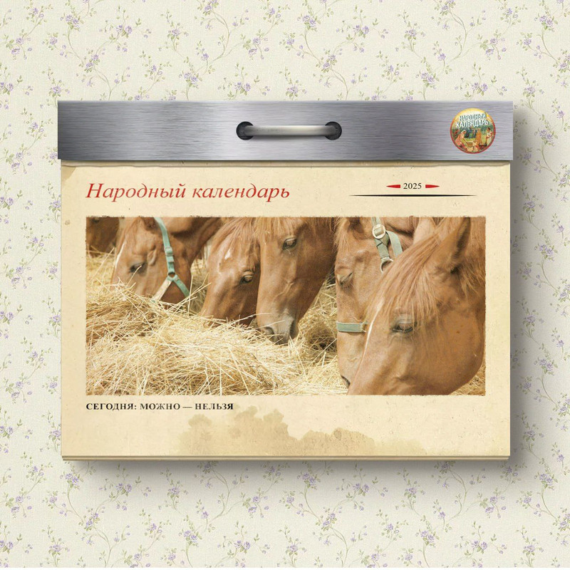 [Изображение: photo-2025-11-27-07-30-42.jpg]