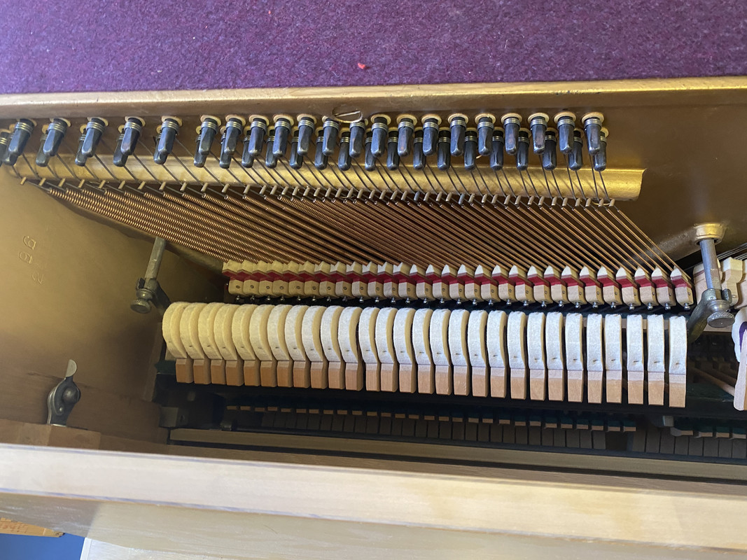 40DB429E-C06E-41E4-82D3-27C370633D15