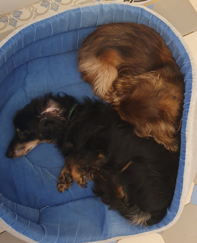 [Image: 20230603-135846.jpg]