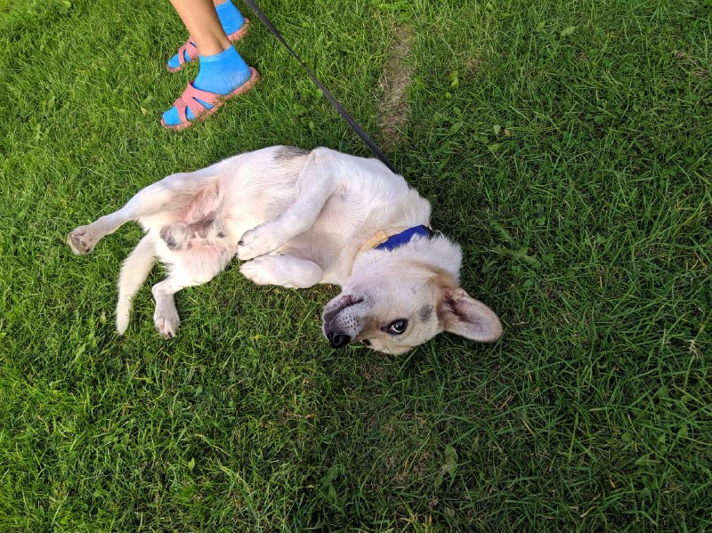 09ed8ab2-da2c-4d3c-bc97-a5260b887602