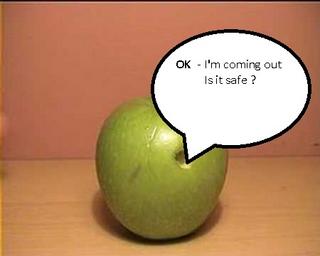maggot-apple-2.jpg