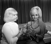 jayne-mansfield-g84