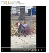 Screenshot Capture - 2023-09-16 - 02-47-07