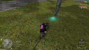 IMG-6959