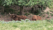 IMG-20260602-155609623-HDR