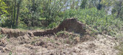 foto1