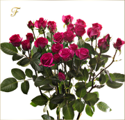 Fato-tube-png-yap-lanl-resimler-43