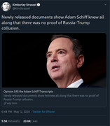 schiffknew