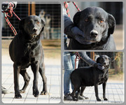 Be-Funky-collage-15.jpg&key=0f2318e9e365