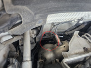 Whats-App-Image-2026-02-08-at-18-18-53.j