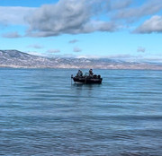 [Image: IMG-1715.jpg]