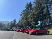 received_1676167939821503