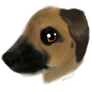 Untitled125_20210126162411