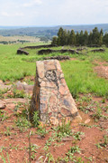 DSC-0219