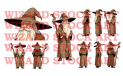 wizard-sheet