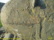 IMG-9418