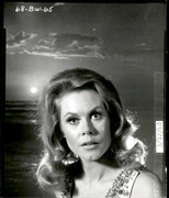 elizabeth-montogomery-d23
