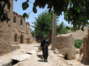 محمدعلی نصیری