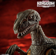 Kingdom-Dinobot-02
