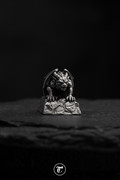 DSC03753