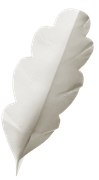 Winter-White-Elements-217