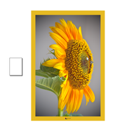 pagina A4 e immagine