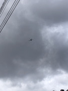 82289-E72-D4-CE-4-D9-B-AA4-D-EFED36-D952