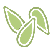 Pumpkin Seeds