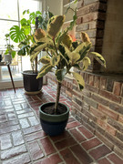 70024623526__1D5E25AD-0654-4D78-A5E3-D86568A32936