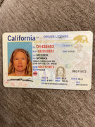 photo_2024-09-29_19-30-06