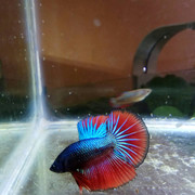 IMG_20190710_220340_438