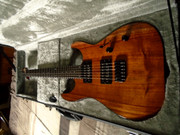 ESP-LTD M1000H-Koa