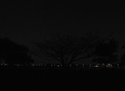 53.1.evening exploration I