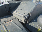 IMG-3498