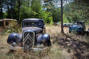 140333842-2920078211597258-9067389496705339136-o.jpg