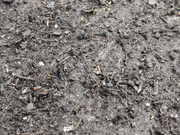 IMG_20221008_123422_Erased