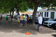 IMG-3417