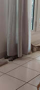 https://i.postimg.cc/68CrhhNt/IMG-20260518-182159.jpg
